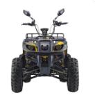 PHYES Adults 60v 4000w electric quad atv 4x4 powerful