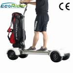 EcoRider 1000w 4 Wheel Skateboard Golf Electric Scooter Long Board CE Certificat