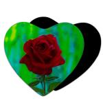 Eye-catching 3D Lenticular Magnets for Promotions and Advertising