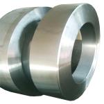 OEM Customized Forged Shaft Cold Forging Stainless Steel Ring 321 309S 904L
