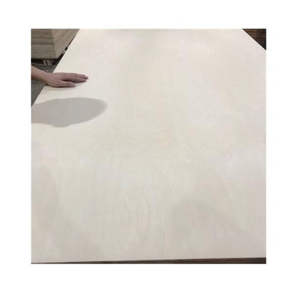 Buy cheap Full Poplar Core 1220*2440mm E0 CARB Laminate Faced Birch Plywood from wholesalers