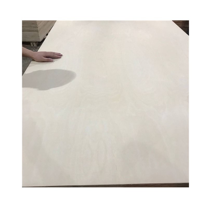CARB 12mm 18m Birch Hardwood Plywood For Furniture