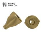 Healing Capsule Device Blue Sky Implant Scan Body Transfer Coping