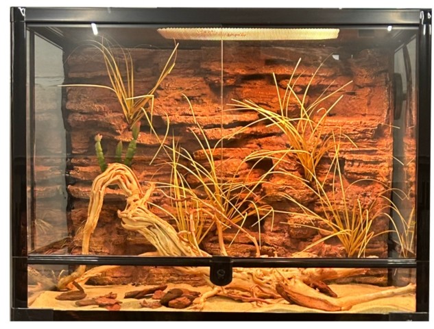 Ecological Landscape Snake Enclosure Background Simulated Rock SL-M27A