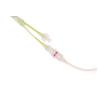 Buy cheap Radiopaque Marker Ureteral Balloon Catheter Piston Control from wholesalers