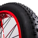 Folding Electric Bike Full Suspension Fat Tire 350w 48v RICH BIT 018