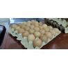 Buy cheap Waste Paper Pulp 200KW Egg Tray Making Machine from wholesalers