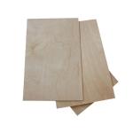 Full Hardwood Core MR 12mm Film Faced Birch Plywood