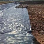 CE Certified HDPE Black Anti-Seepage Geomembrane for Industrial Design Style