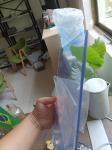 5mm 500 Micron 250 Micron 200 Micron Plastic Pvc Sheet For Bathroom Door