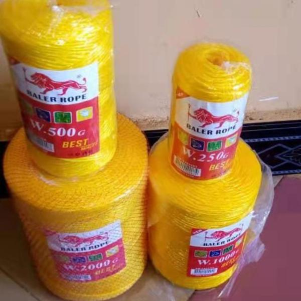 Buy cheap Yellow Color 2mm Pp Baler Twine 2MMx1000G 20PCS/PE Bag from wholesalers