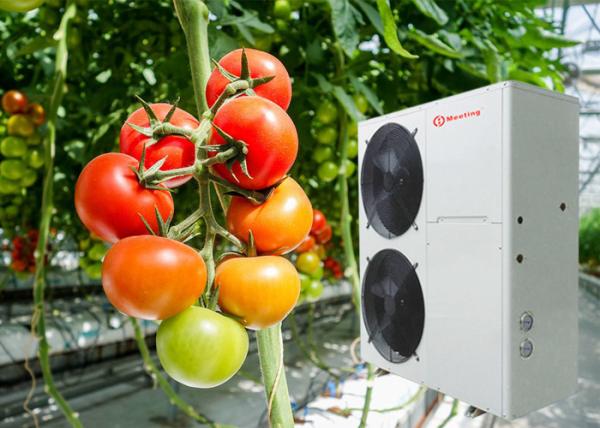 Buy cheap Farm Air To Water Heat Pump System Heating For Tomato Planting Greenhouse from wholesalers