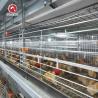 Buy cheap H Frame 4 Tiers Meat Chicken Broiler Cage 136 birds from wholesalers