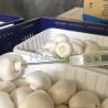 Buy cheap Farm Machine Vacuum Cooling System Machine, Fast Cooling Vegetable Food Machine from wholesalers