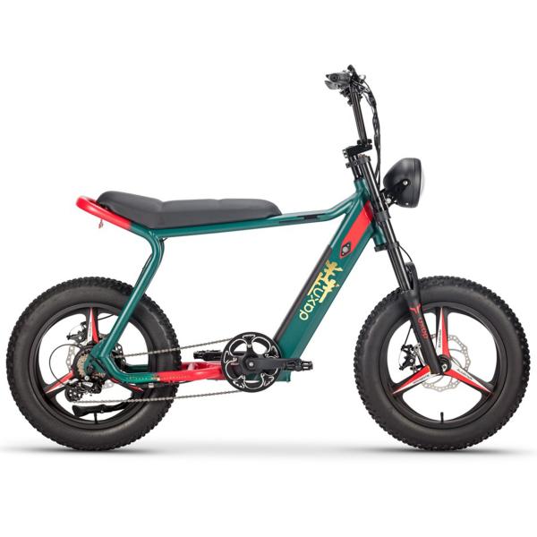 Buy cheap Adult Hybrid Electric Mountain Bike 8 Speed Lithium Battery power supply from wholesalers