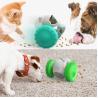 Buy cheap Pet Toys for Pet Feeder Interactive Educational Juguetes para Mascotas from wholesalers