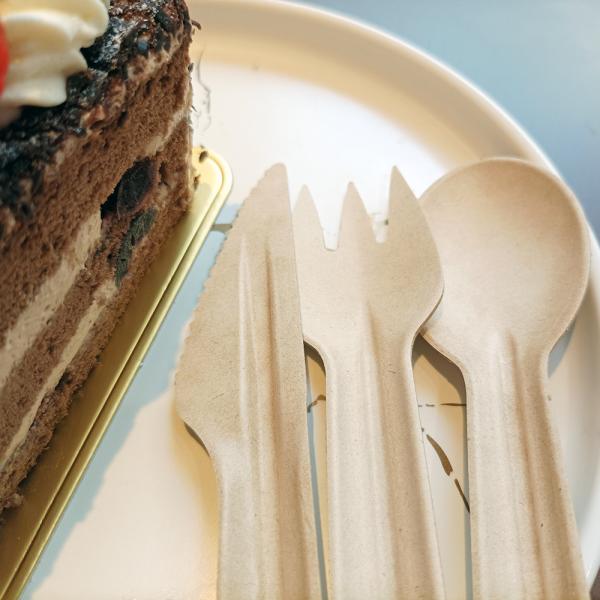 Buy cheap Disposable Biodegradable Sugarcane Bagasse Cutlery from wholesalers