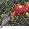 Buy cheap PE Woven Anti Bird Net , Bird Proof Netting 100% New HDPE Material from wholesalers