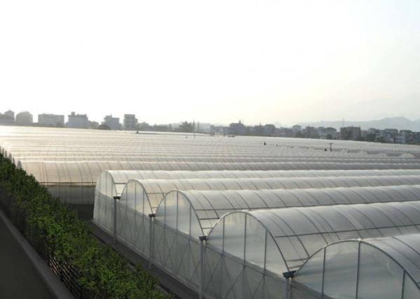 Buy cheap Multi Span Hydroponic Tunnel Plastic Cover Greenhouse from wholesalers