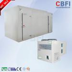 Sliding Door / Swing Door Commercial Walk In Freezer , Laboratory Cold Room
