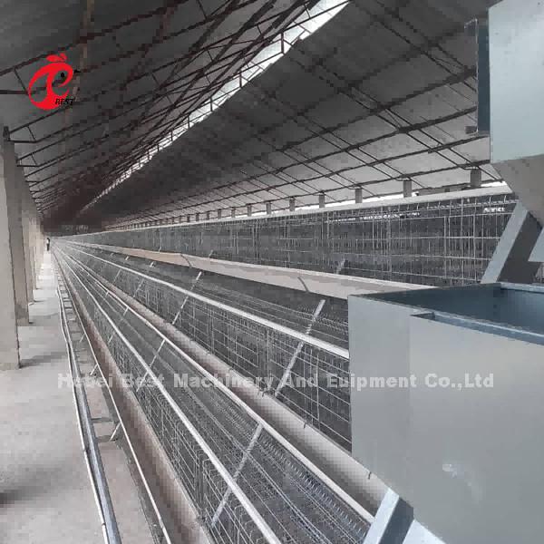 Buy cheap Wholesale Q235 Steel Layer Battery Cage Price In Nigeria Long Lifespan Mia from wholesalers