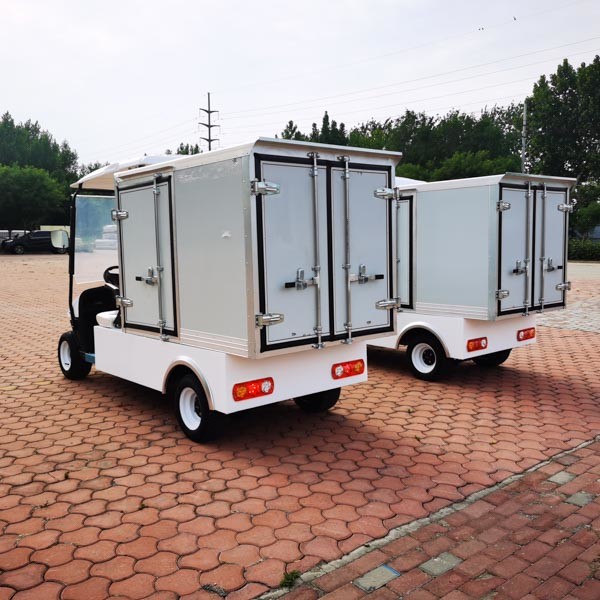 Electric Golf Cart 4 Wheel 2 Passengers Car With Container Load Buggy Stroller