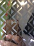 Newest Coloured Stainless Steel 3D Printing Material Bronze Designer Sheets In