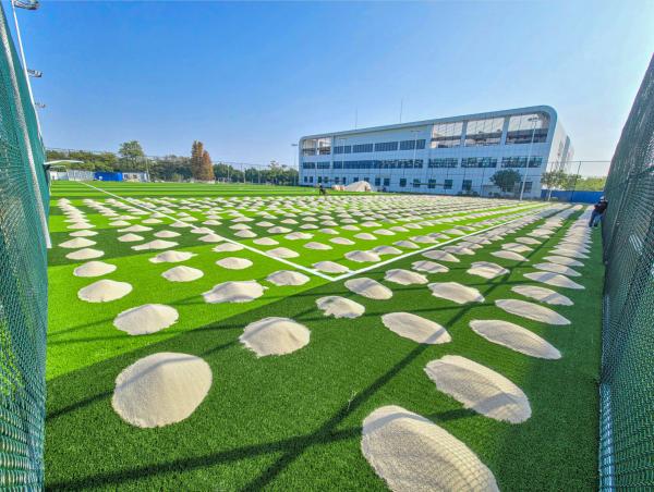 Disease Resistant Artificial Football Turf Dtex 8000-15000 Rubber Infill PP Net