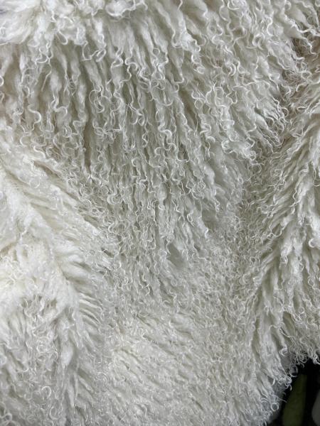 Buy cheap White Persian Wool Curly And Unique High End Clothing Selection from wholesalers