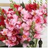Buy cheap High-End Fragrant Snow Flowers Artificial Bouquets Wedding Table Hotel Home Decor Flower Arrangement Ornaments for Photography from wholesalers