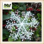 Christmas Plastic Brushed Snowflakes/ Christmas Snowflakes 11CM Snowflakes/