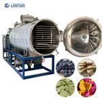 Commercial Vacuum Freeze Dryer For Fruit And Vegetable Food Freeze Dryer