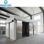 Assembled Cold Storage Cooler/Chiller/Freezer Room for Vegetables Fruits Sea