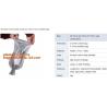 Buy cheap Leak Proof Reusable Safe Travel Storage Wine Shipper Bags Disposable Wine Bottle Plastic Bubble Protector Travel Bags Po from wholesalers