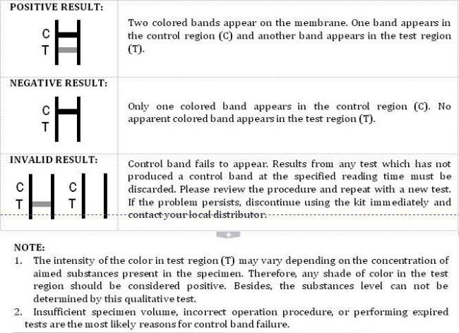 Strep B Antigen Rapid Test Cassette Kits 40 Tests/Kit CE ISO13485