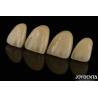 Buy cheap Excellent Biocompatibility Layered Zirconia Within High Aesthetics And Density 6.0-6.1 G/cm3 from wholesalers