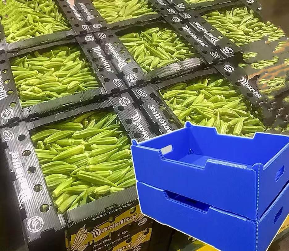 Corrugated Plastic Crates PP Hollow Sheet Box Lightweight Waterproof vegetables