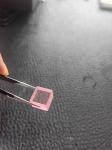 Coral / Rose Pink Sapphire Raw / Roughgem Crystal Lab Made For Jewelry