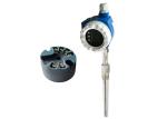 Intrinsically Safe Head Mounted Temperature Transmitter For Industrial