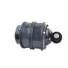 Buy cheap Air Spring Mercedes Benz W211 W219 4Matic Suspension Shock Repair Kits Rear Air Bellow 2113200925 from wholesalers