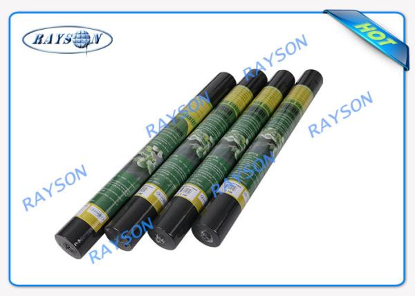 3% UV Protection 10 Year Guarantee Agricultural Non Woven Cover Spunbond In