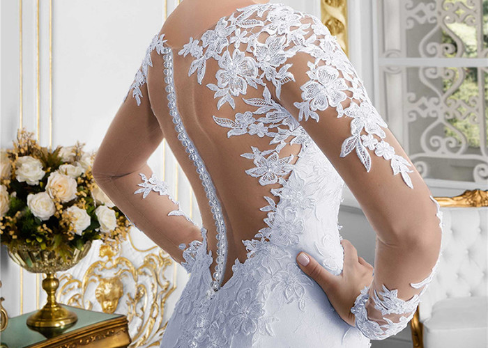 Pure White Mermaid Lace Bridal Gowns Long Sleeve Perspective Back Grace Tulle