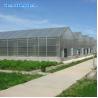 Buy cheap Hydroponics Polyethylene Film Greenhouse Strawberry Multispan Greenhouse from wholesalers
