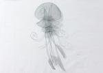 Colorful Minimalism Ocean Large Metal Fish Wall Decor