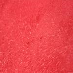 Flock Burnout Textile Upholstery Fabrics Tear - Resistant 250gsm~350gsm