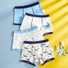Buy cheap 160CM Polyester Breathable Boys Boxer Shorts Loose Fit Mens 3xl Boxer Shorts from wholesalers