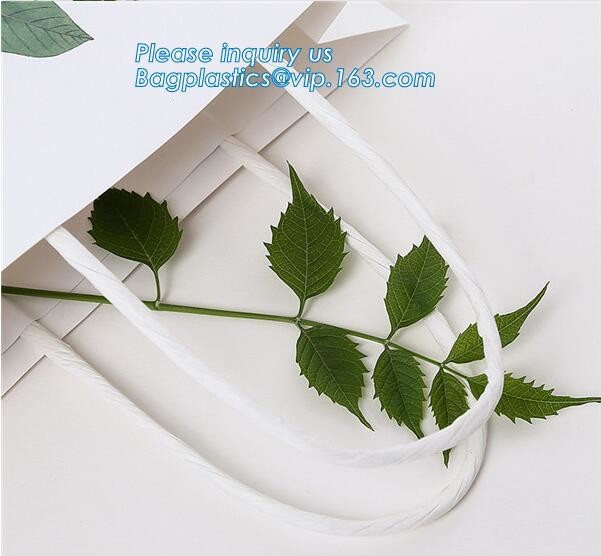 china custom design luxury shopping gift paper carrier bag template,Luxury Kraft Brown Paper Shopping Gift Jewelry Paper