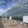 Buy cheap 8m Agricultural Single-Span Tunnel Film Blackout Greenhouse for Medical Plants and Mushroom from wholesalers