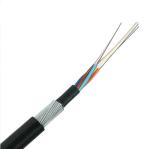 36 48 72 96 144 288 Core G652D Armored Fiber Optic Cable Single Mode