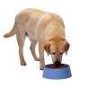 Buy cheap 380V / 50HZ Pet food Extruder Machine Processing Machine Dog Cat Pet Chews Treat Production from wholesalers